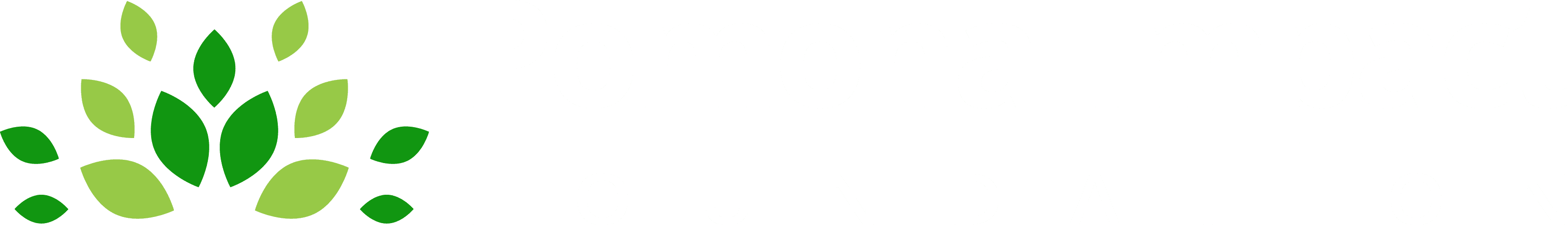 Pomona Foundation